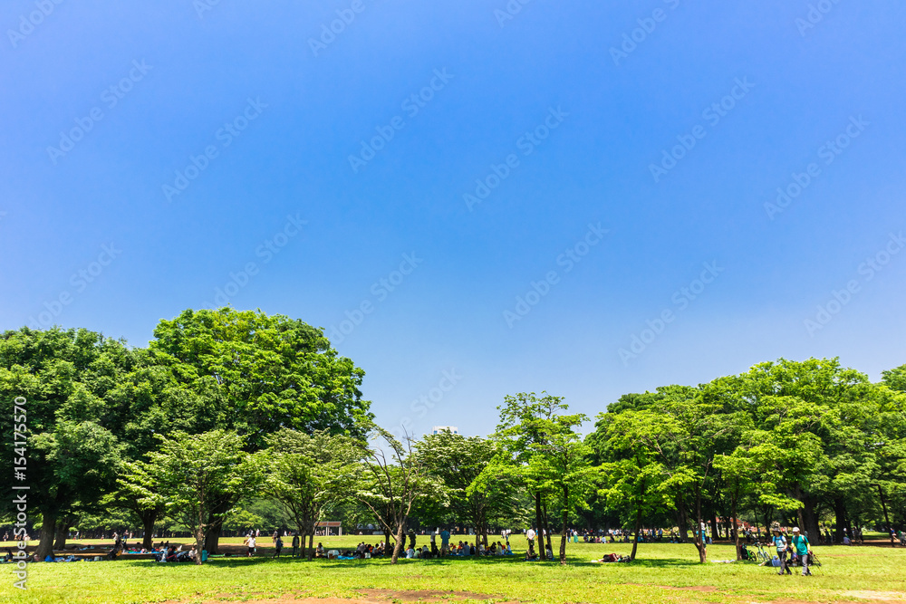 Obraz premium 新緑が眩しい休日の公園