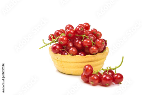 Tartlet with red currant