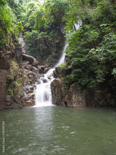 Waterfall in the jungle Full of trees In front of the waterfall, there are a lot of fish.