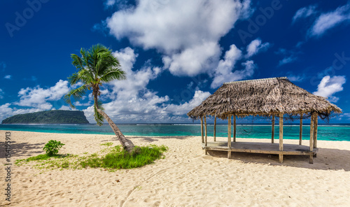 Tropical vibrant beach on Samoa Island with palm tree and fale