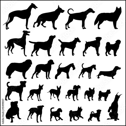 Vector silhouettes of dogs of different breeds