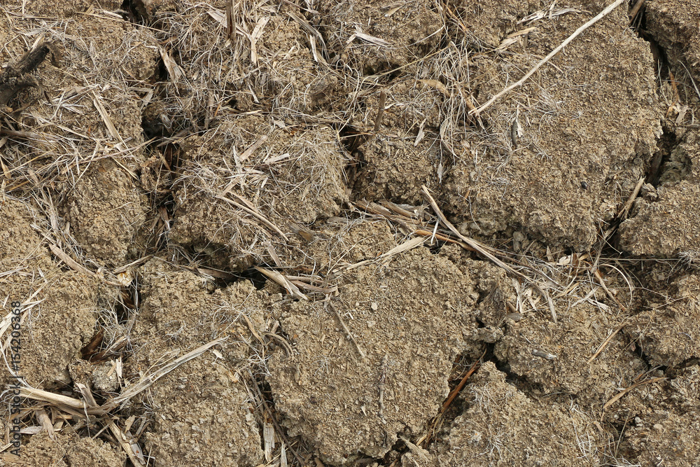 dry lakebed cracked dirt textured background dry lakebed cracked dirt textured background