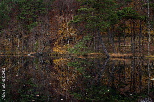 autumn reflections in lake