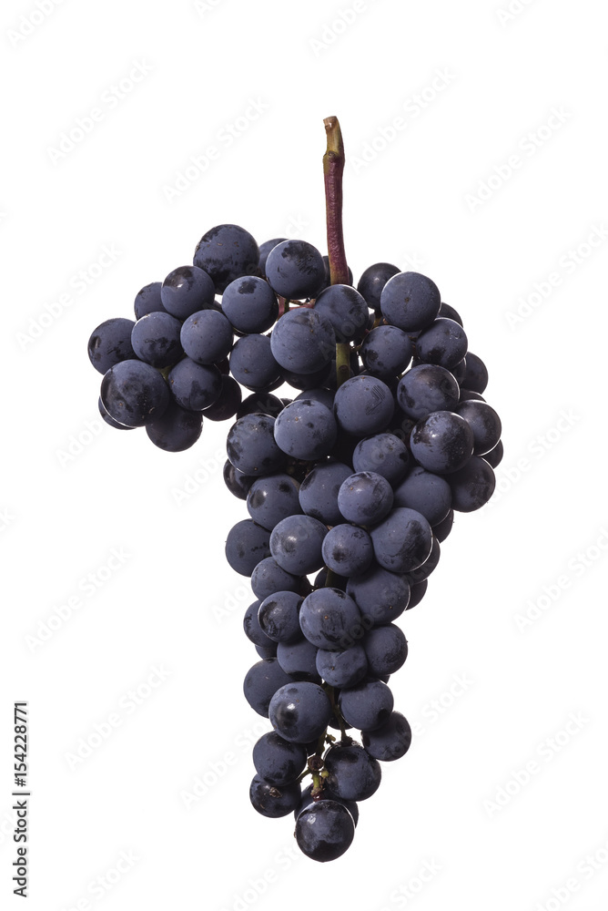 Dark bunch of grape in low light on white isolated background , macro shot , water drops