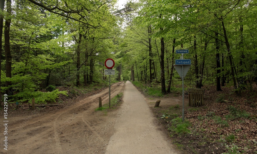 Obraz premium Typical dutch nature on a spring day