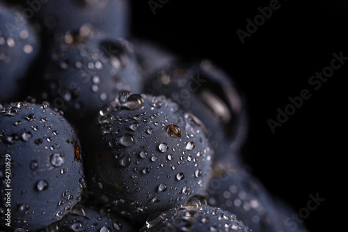 Leinwand Poster Dark bunch of grape in low light on black isolated background , macro shot , wat
