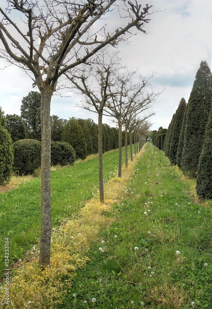 Obraz premium Typical dutch nature on a spring day