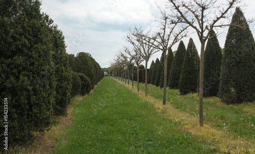 Typical dutch nature on a spring day