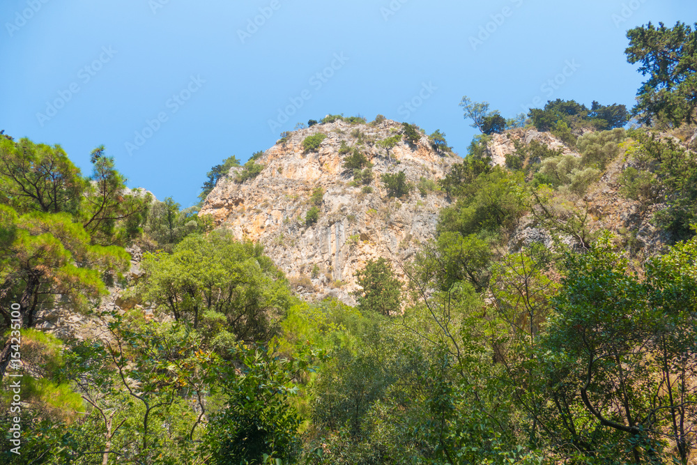 Steep and rocky hills covered with coniferous forest in the Turkish national park. Prak is located in the vicinity of Kusadasi and is called Milli Park. Steep and rocky hills covered with coniferous forest in the Turkish national park. Prak is located in the vicinity of Kusadasi and is called Milli Park.
