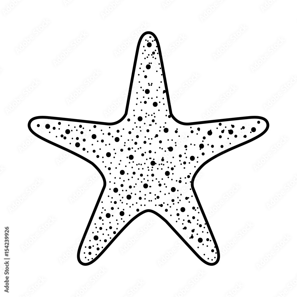 starfish tropical isolated icon vector illustration design starfish tropical isolated icon vector illustration design