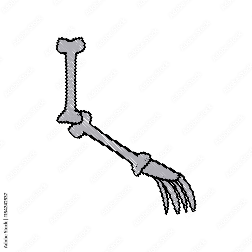 cartoon arm bone part skeleton comic vector illustration cartoon arm bone part skeleton comic vector illustration