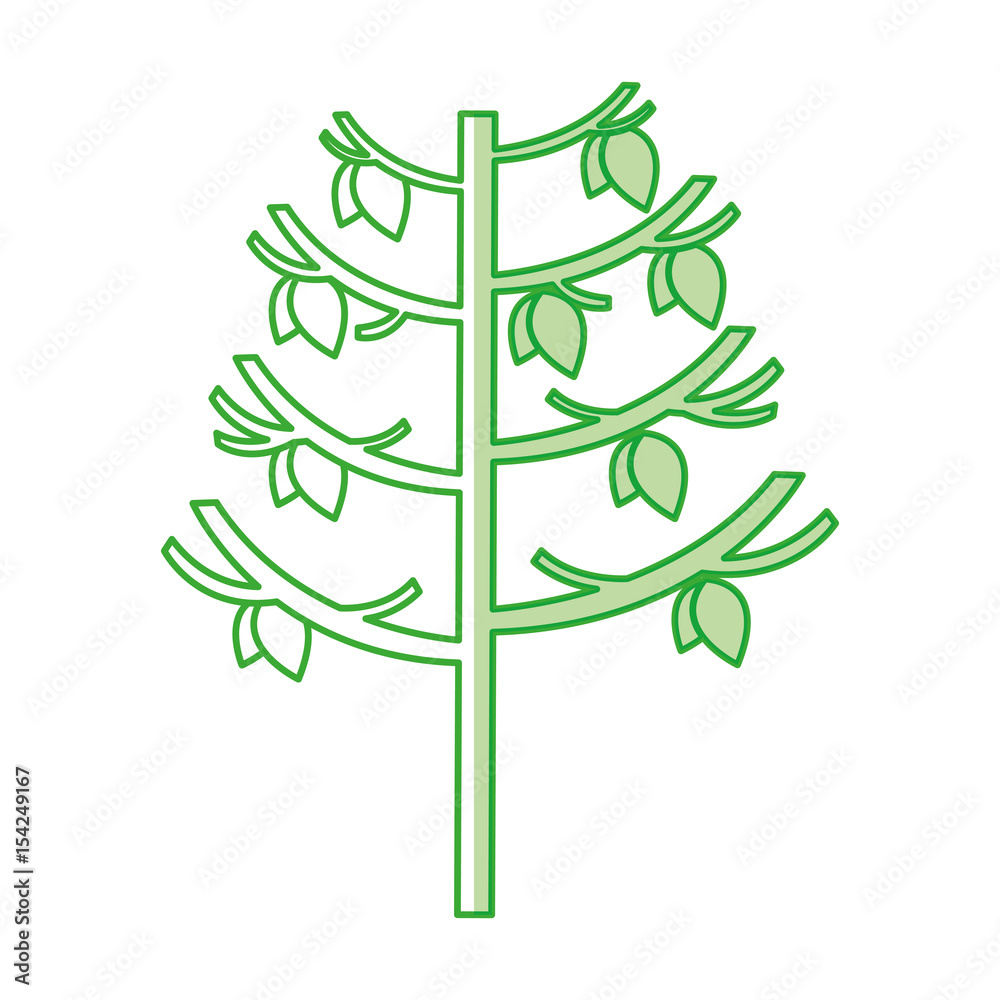 tree plant autumn icon vector illustration design tree plant autumn icon vector illustration design