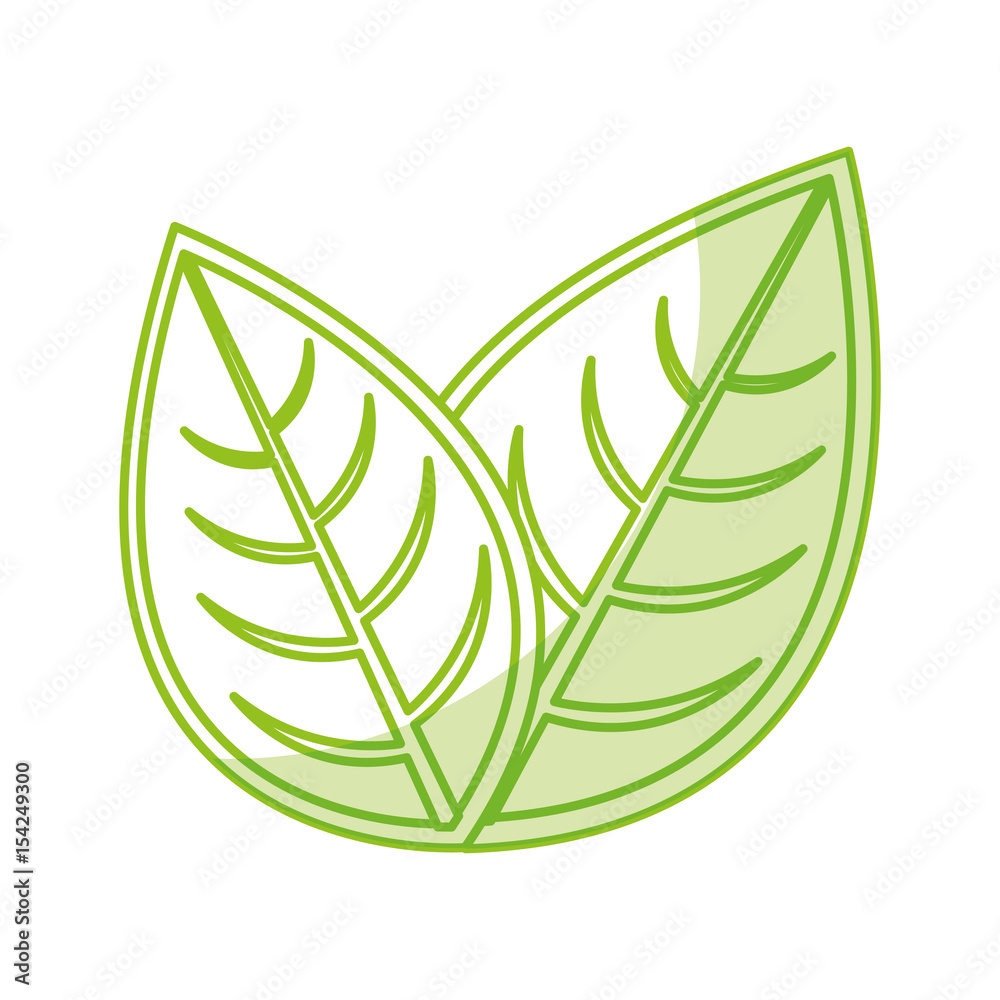 leaf plant seasonal icon vector illustration design leaf plant seasonal icon vector illustration design