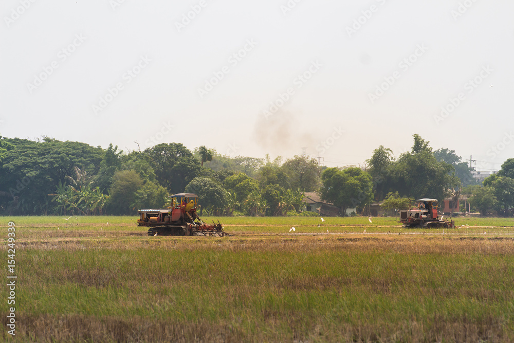 Fototapeta premium agriculture farmland,tractor with plough ploughing a soil field