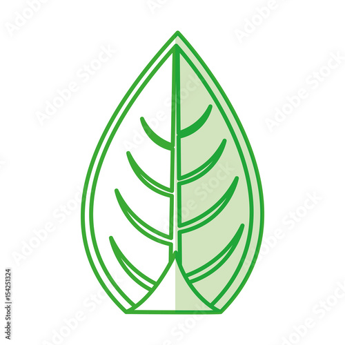 leaf plant seasonal icon vector illustration design