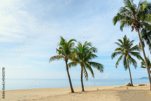 Coconut palm tree and sky on tropical beach in Thailand
