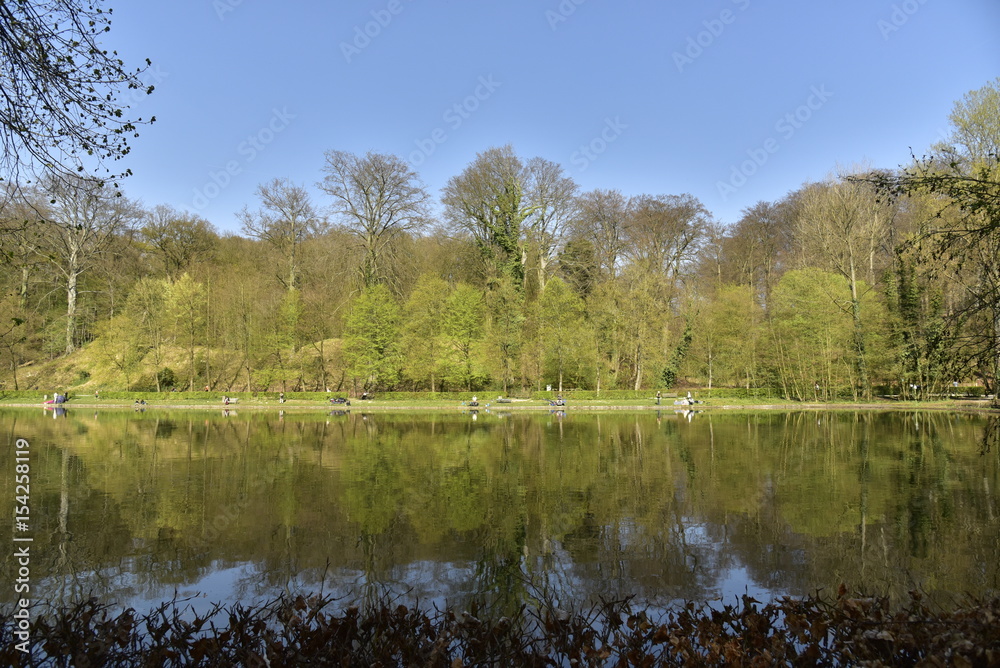 L'étang du Moulin près de l'abbaye du Rouge-Cloître avec son reflet incroyable de la nature de la forêt de Soignes au printemps
