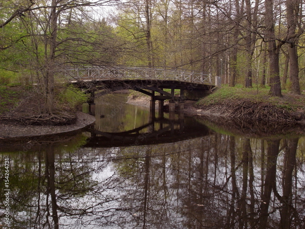 Rest in the park. Spring in the park.