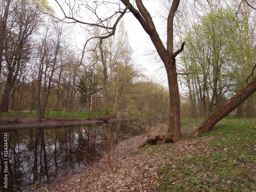 Rest in the park. Spring in the park. Rest in the park. Spring in the park.