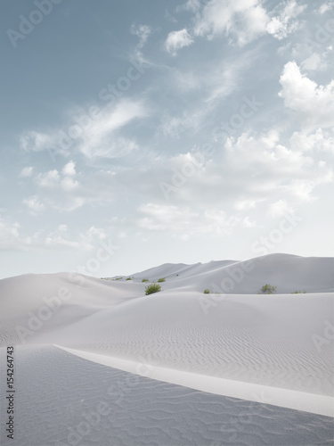 view of nice sands dunes at Sands Dunes National Park © Dmitry Ersler