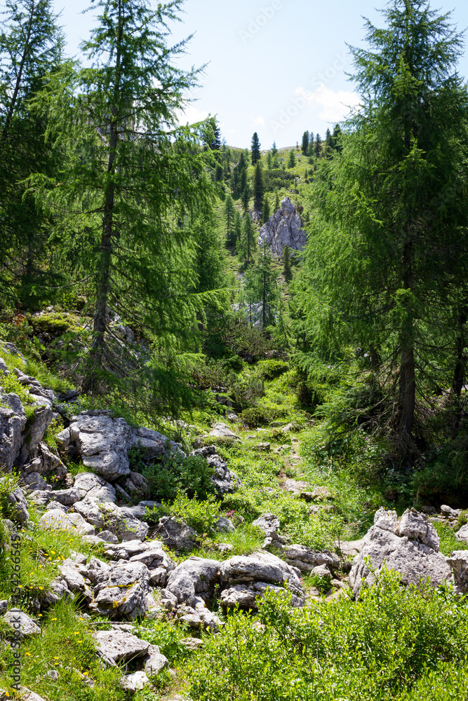 Mountain Trails Three Peaks Lavaredo