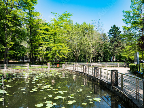 Lacul cu Nuferi (Waterlilies Lake), Felix Baths - Baile Felix, Bihor, Romania