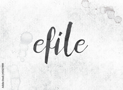 eFile Concept Painted Ink Word and Theme