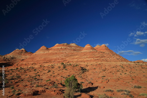 Rock formations in the North Coyote Buttes, part of the Vermilion Cliffs National Monument. This area is also known as The Wave photo