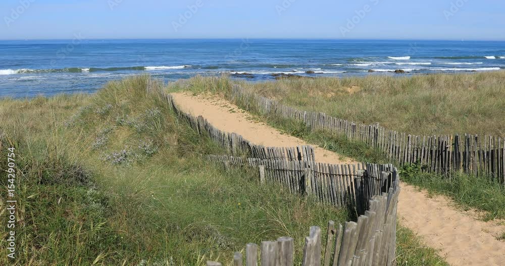 Chemin vers la plage de la Paracou à la Chaume (Les Sables d'Olonne)