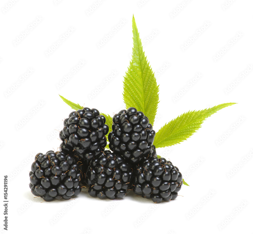 Blackberries with leaves Blackberries with leaves