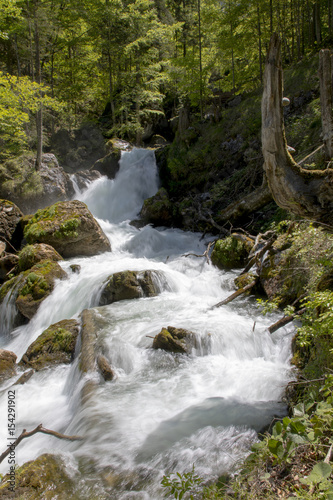 Wasserfall  Kaskade im Hartelsgraben  Ges  use Steiermark   sterreich