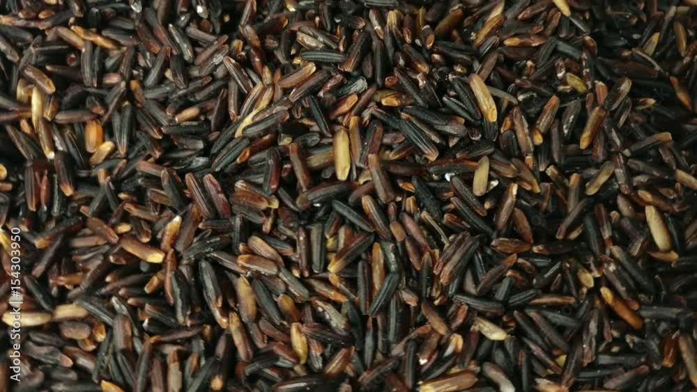 Black wild rice seeds are rotating close up. Footage will work great for any videos dealing with cooking, health nutrition, Japanese food, restaurants and much more.
Black wild rice seeds are rotating close up. Footage will work great for any videos dealing with cooking, health nutrition, Japanese food, restaurants and much more.