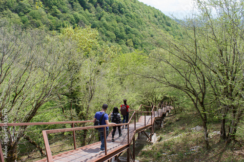 Trekking together. Travelers travel on the artificial roadway In the forest of the mountains reserve.