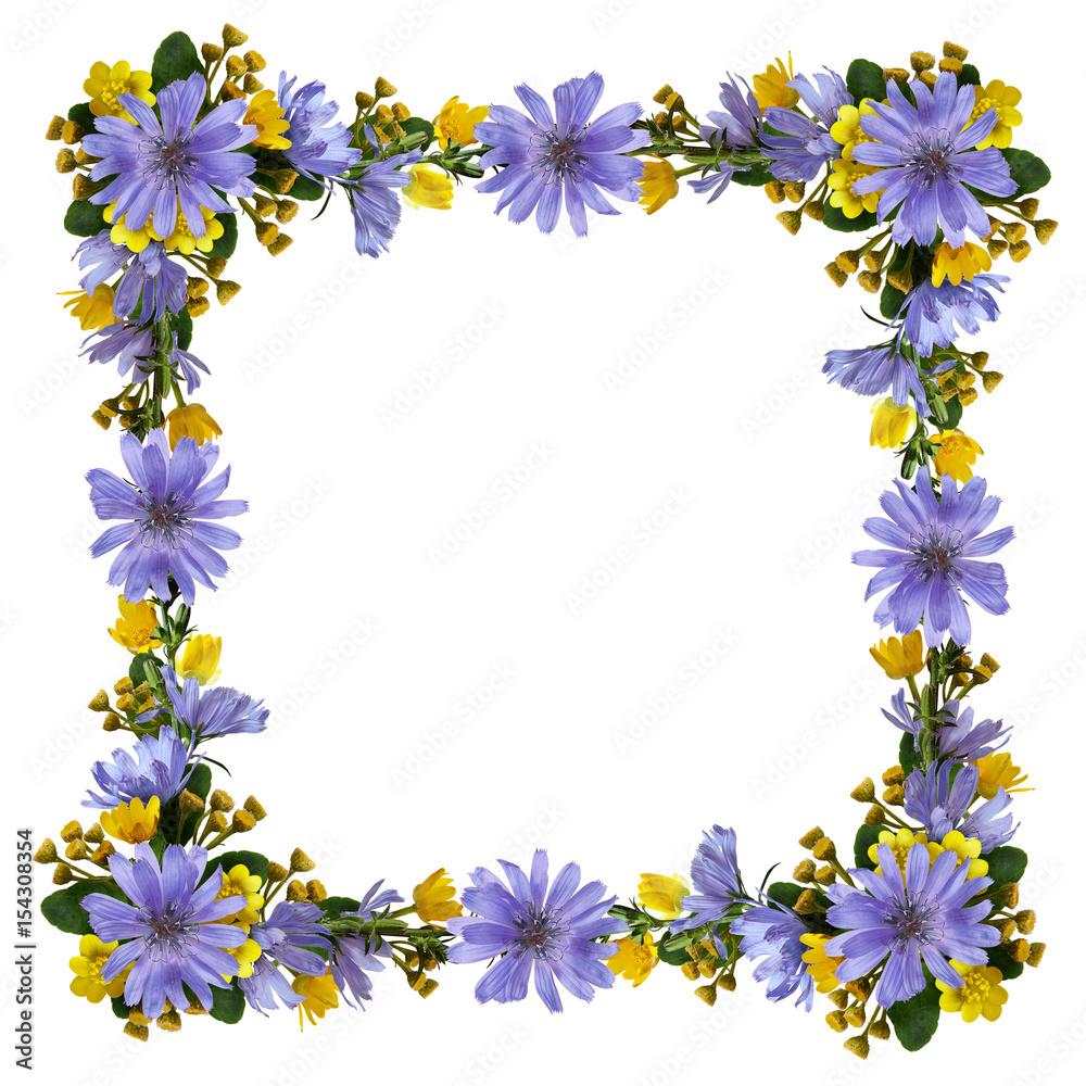 Wild flowers in a frame Wild flowers in a frame