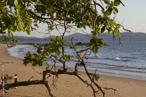 coast of Thailand  photo