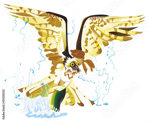 balbuzard attrapant un poisson