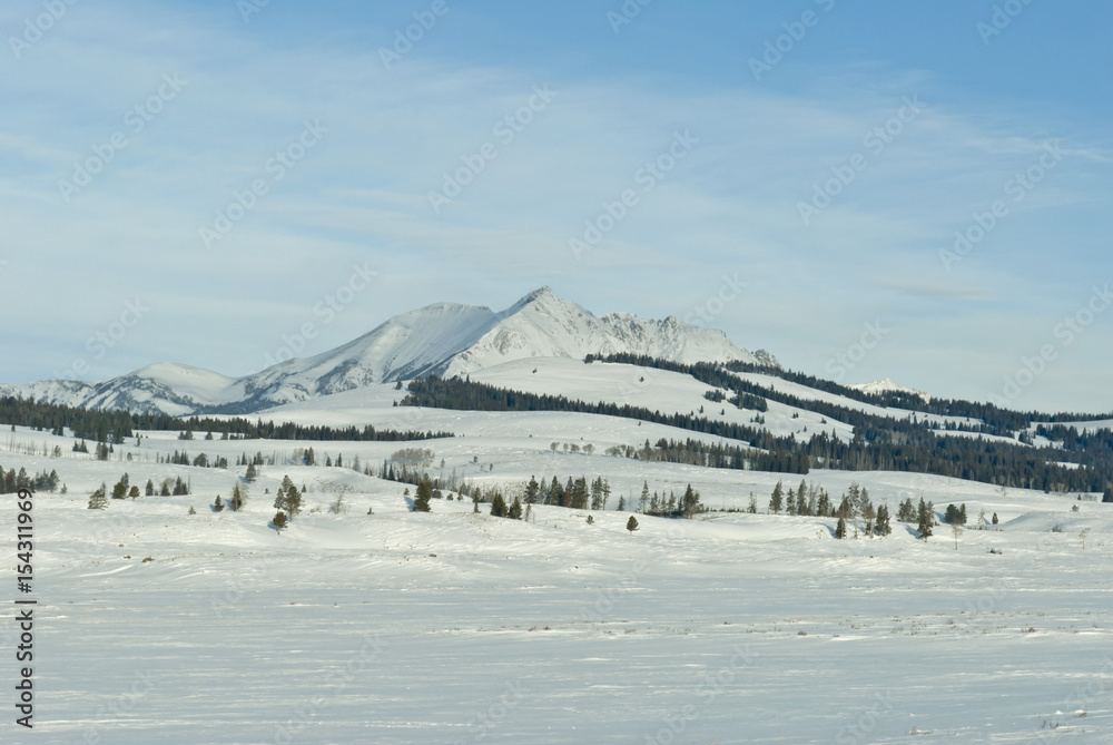 Electric Peak, Winter, Yellowstone NP