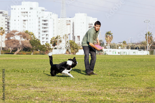 Border Collie Dog Playing Frisbee in the Park