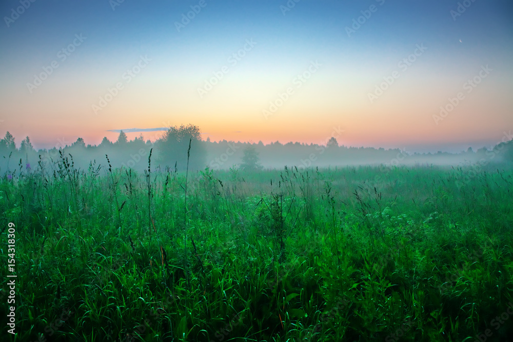 Sunrise over the high green grass. July, summer, four in the morning, Tver earth. Sunny summer morning. Beautiful landscape. Agricultural landscape in the summer.