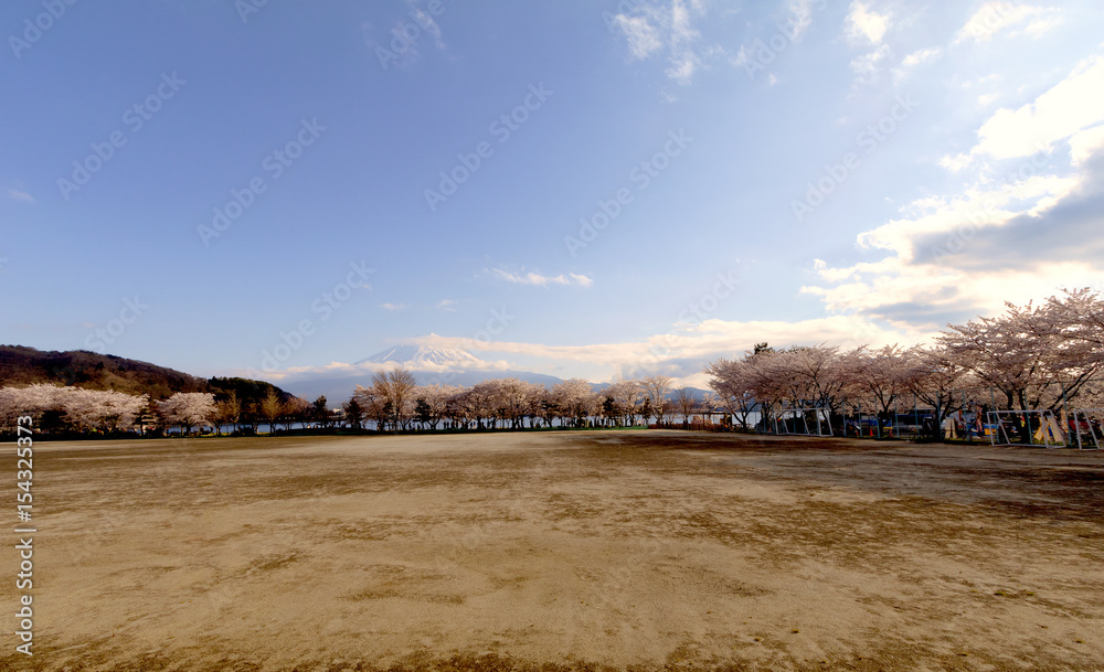 Mt fuji and Lake in cherry blossom sakura