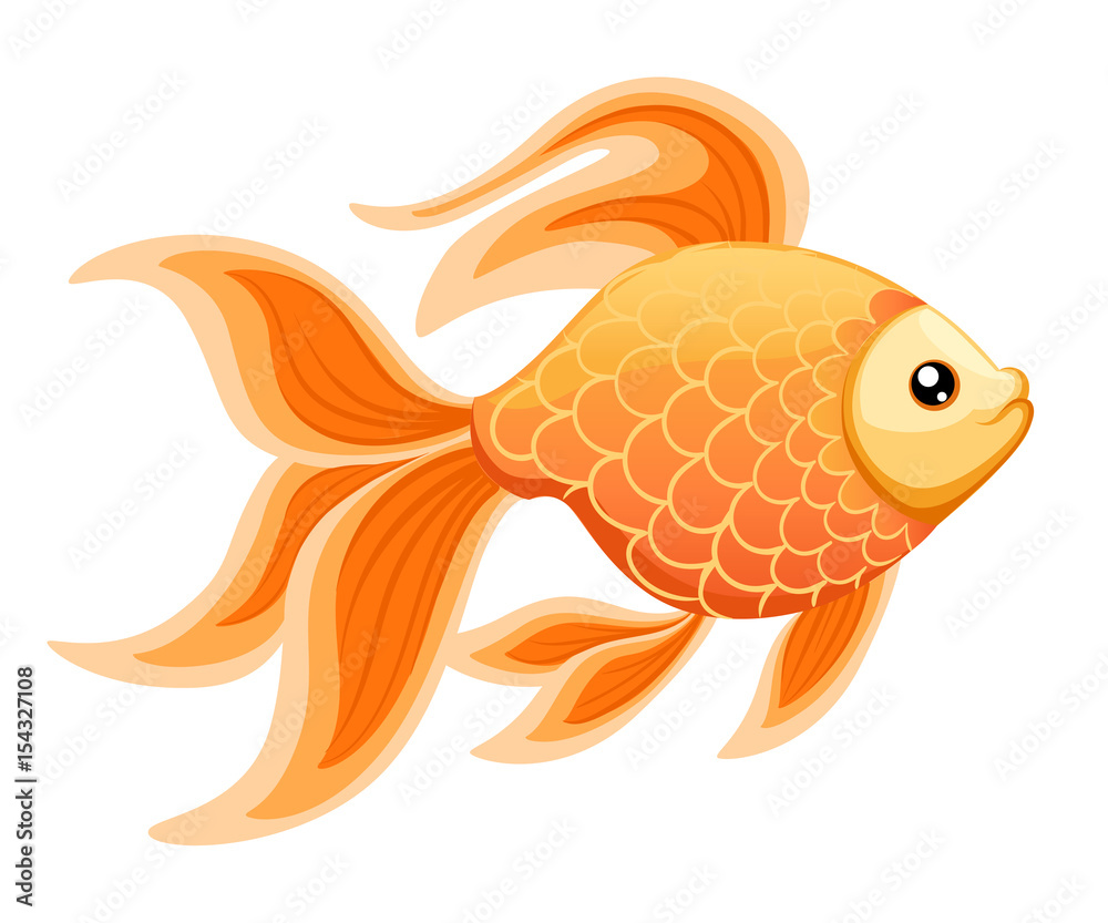 Vector illustration isolated on background Goldfish aquarium fish