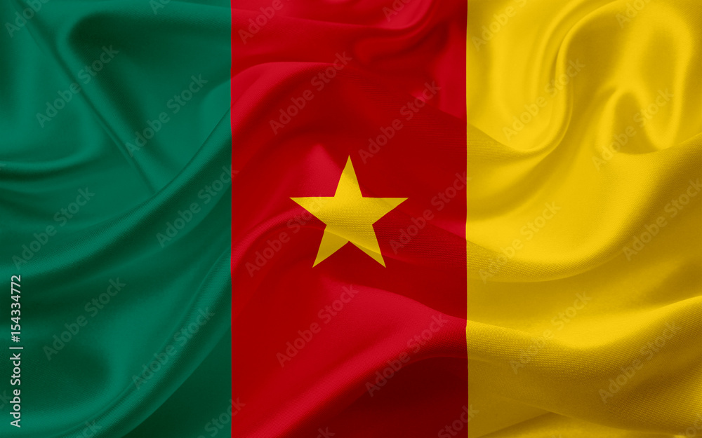 Flag of Cameroon, with waving fabric texture Flag of Cameroon, with waving fabric texture