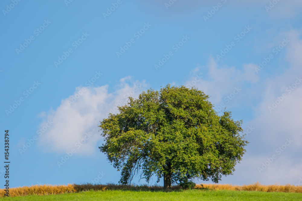 Obraz premium German landscape