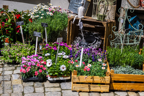 Живописный рынок цветов. Продажа горшечных цветущих растений