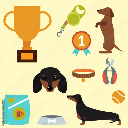 Dachshund dog playing vector illustration elements set flat style puppy domestic pet accessory.