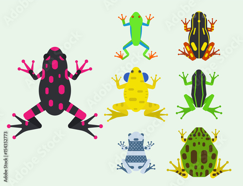 Frog cartoon tropical animal cartoon amphibian mascot character wild vector illustration.