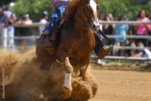 The frontview of a rider in cowboy chaps and boots sliding the horse in the sand