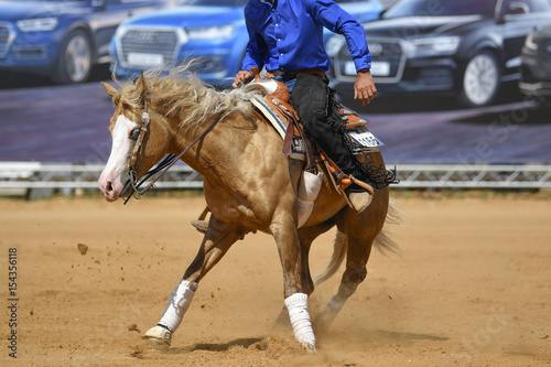 A front view of a rider twisting the horse on the spot on the sandy field 