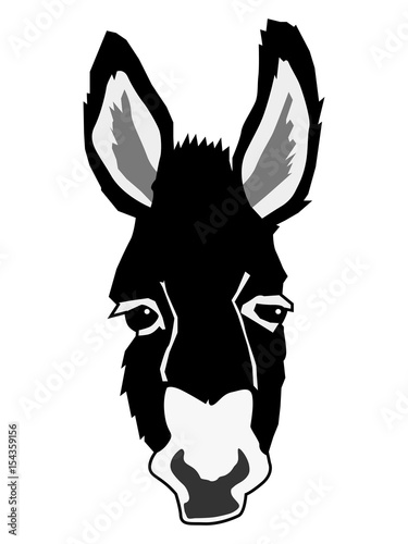 portrait of donkey