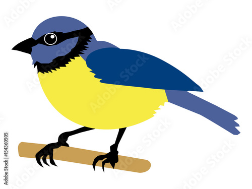 tit bird